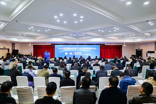 頂立科技參加硅基新材料高峰論壇，分享高純石英制備熱工裝備最新技術(shù) (2).jpg